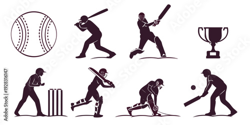 A sequence of images depicting the stages of a cricket match, from preparation to victory Vector