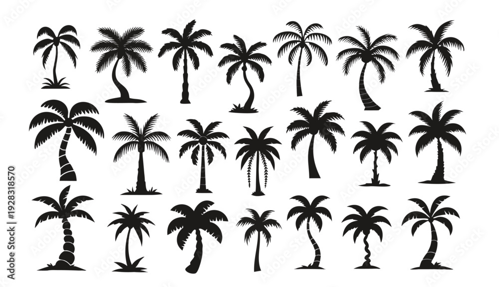 Fototapeta premium Stylized Tropical Palm Tree Silhouettes for Summer Vacation and Beach Design