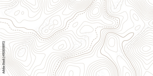 Abstract pattern with lines seamless pattern and topography.  Modern design with White background with topographic wavy pattern design.Contour background geographic grid. Vector illustration.