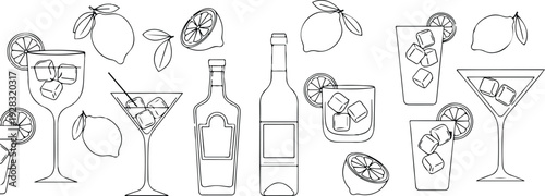 Hand drawn sketch style citrus and wine set. Vector elegant doodle line illustration of lemons, alcohol, limoncello cocktail glass and lemon slice