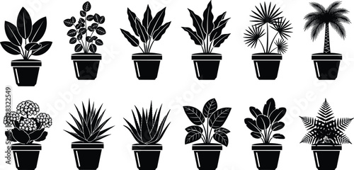 Black vector silhouette collection featuring potted indoor plants, tropical palms, ferns, succulent aloe vera, and various leafy houseplants on white.