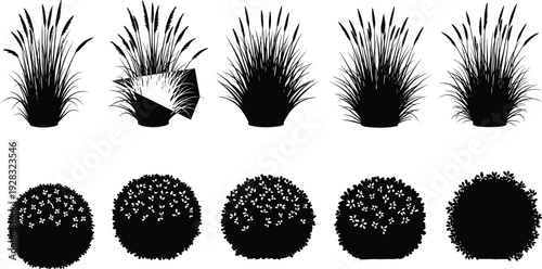 Black vector silhouette collection featuring tall ornamental grasses, wetland cattail plants, rounded garden shrubs, and manicured bushes on white background.