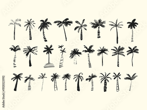 Palm tree hand drawn sketch collection in black and white