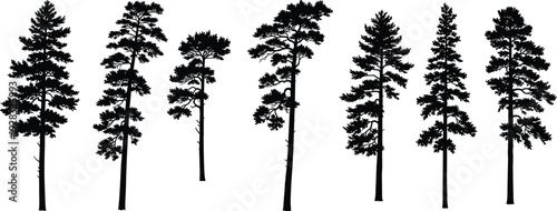 Collection of Pine Tree Silhouettes Arborist Climbers Water Slides Sea Animals and Gourmet Dining Icons for Architectural Plans and Graphic Design