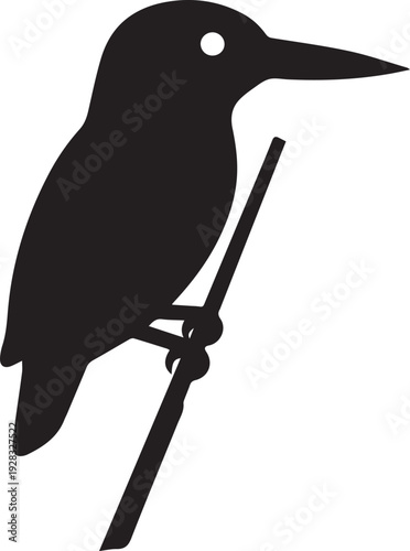 Wallpaper Mural A cute black and Torontodigital.ca