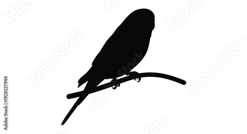 A black bird perched on a branch a striking silhouette