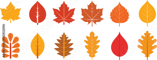 Autumn Leaves Vector Set – Colorful Fall Leaf Illustrations, Maple, Oak, and Seasonal Foliage Icons