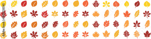 Autumn Leaves Vector Set – Colorful Fall Leaf Illustrations, Maple, Oak, and Seasonal Foliage Icons