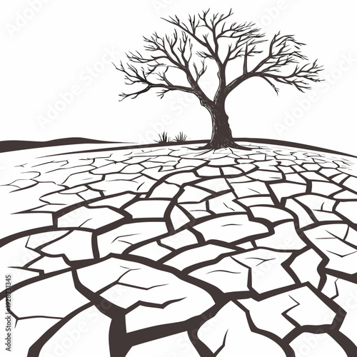 Barren tree on cracked dry earth with sparse grass