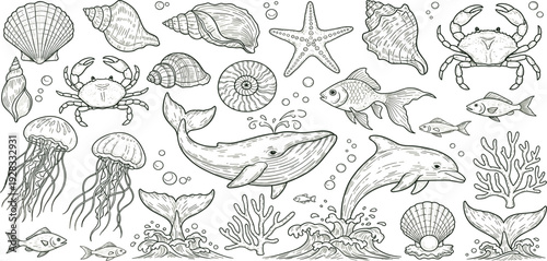 Hand Drawn Marine Life Illustration Set with Whale, Dolphin, Fish, Jellyfish, Crab, Shells and Coral for Ocean Wildlife, Nautical and Vintage Design