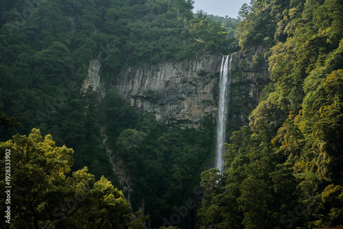 view nachi waterfall mountain japan