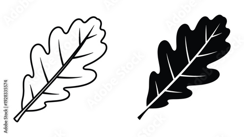 Oak Leaf Outline and Silhouette, Vector Art, Isolated on White
