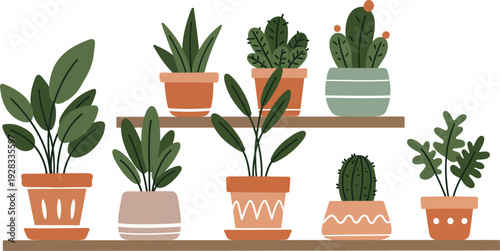 A beautiful potted houseplant with green leaves and delicate flowers grows in a garden pot, bringing nature and home decoration to life through botanical flora and lush growth