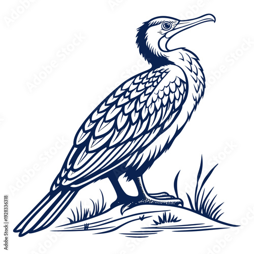 Blue heron standing on a mound bird