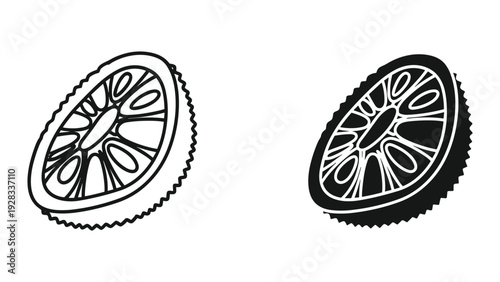 Stylized Citrus Fruit Slices, Line Art and Silhouette