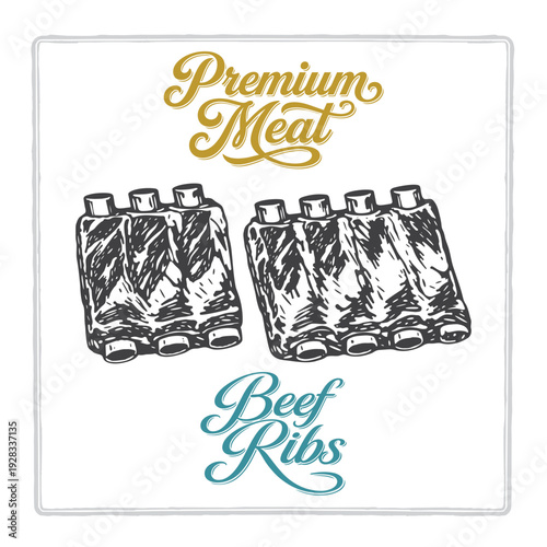 Two pieces of beef ribs illustration with premium meat lettering in vintage engraving style. Hand drawn rib racks for butcher branding, steakhouse menus, labels and food packaging. Part of set.