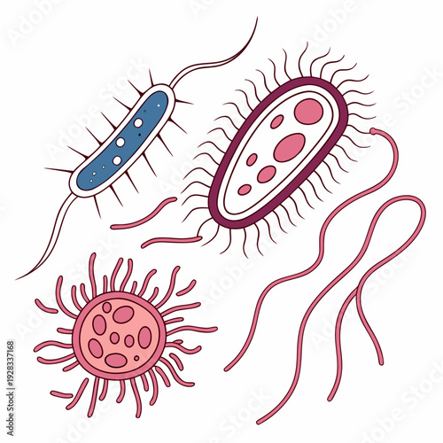 Bacteria shapes with flagella and pili microorganisms