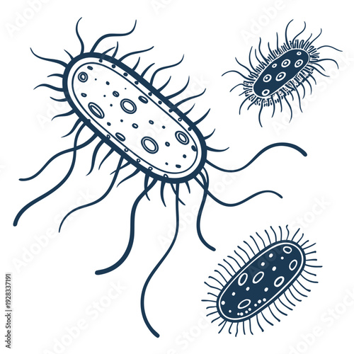 Bacteria with flagella and pili on white background 1