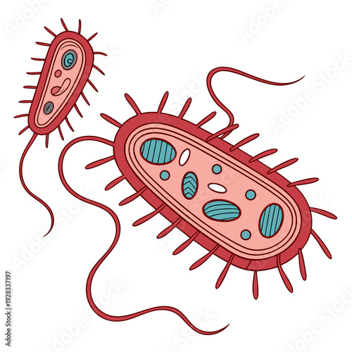Bacteria with flagella and pili on white background 2