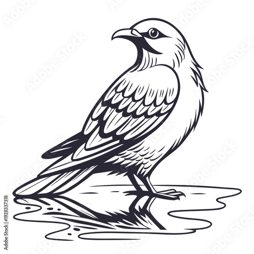 Black and white of a bird standing in water puddle