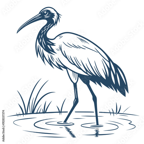 Blue heron standing in water with grass bird 2