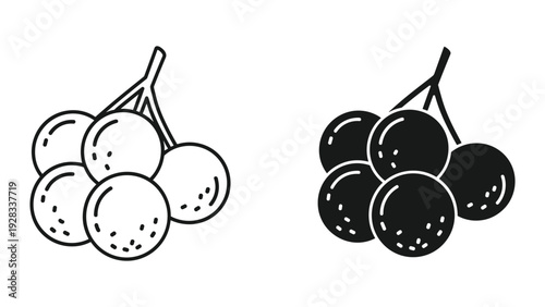 Grape Bunch Icon Set: Outline and Solid Fill Styles