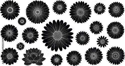 Gave me a title about this photo 'must have 20 word' for adobe stock with SEO maintain with comma

Gave me a keyword, 15 a word, 15 two word, 15 three word about this photo for adobe stock with SEO ma