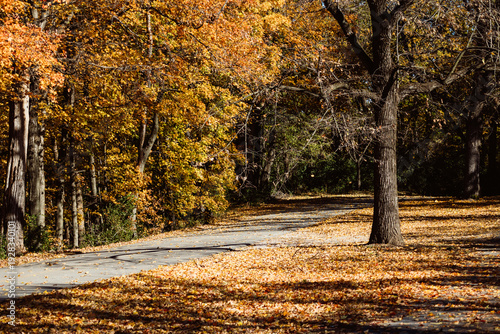 Shots from grafton Il this past fall/autumn