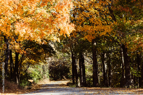 Shots from grafton Il this past fall/autumn