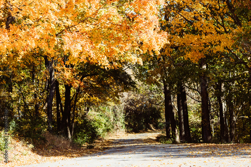 Shots from grafton Il this past fall/autumn