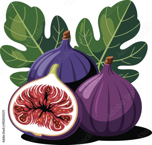 Fresh figs vector illustration.