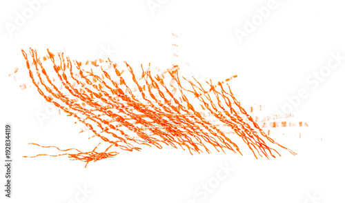 Wallpaper Mural torn plastic fruit net flying, red bag isolated on white background and texture, design element, transparency	 Torontodigital.ca