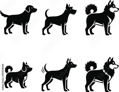 Collection of six ornate masks with feathered designs displayed together in a two-row arrangement