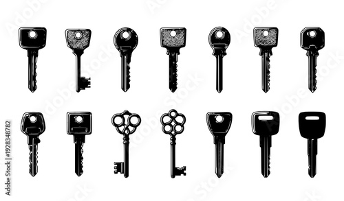 Collection of 15 different keys vector illustration arranged on white