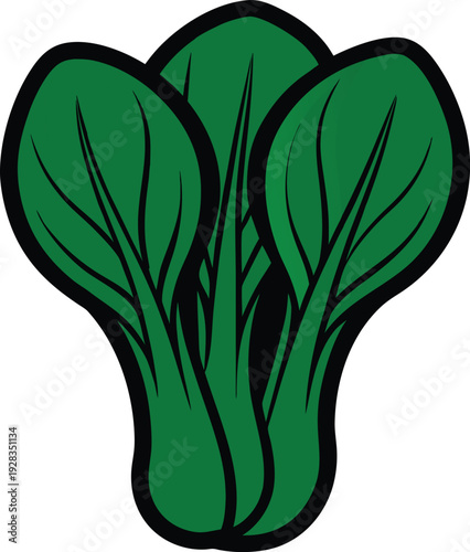 Stylized green bok choy with black outline vegetable vector illustration EPS PNG file