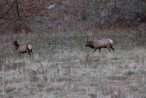 Shots from grafton Il this past fall/autumn