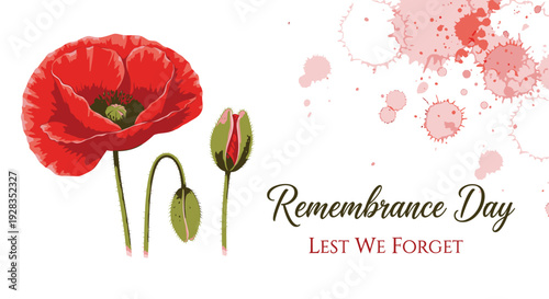 Remembrance Day poppy vector illustration