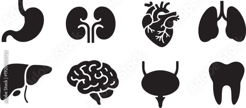 Healthcare Organ Symbols Bundle – Editable Vector Graphics - Human Body Organs Icon Set – Minimal Solid Medical Illustration