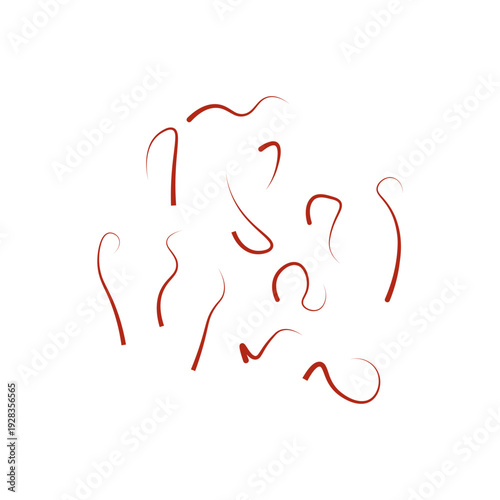 A set of different saffron threads