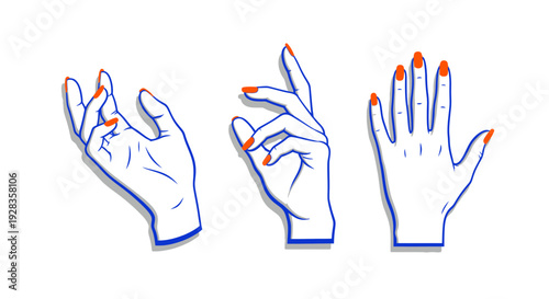 Hands illustration showcasing various gestures and nail art