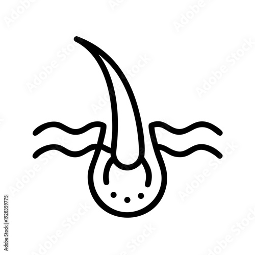 Single Hair Follicle for web and graphic design