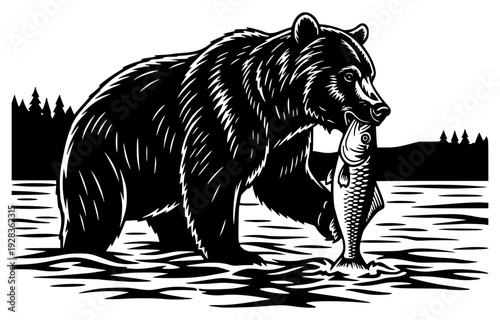 ite illustration of a bear holding a fish in its mouth, bear, black, brown, brown bear, catch, fish, hook, illustration, image, lake, mouth, salmon, stand, water, white, against transparent background