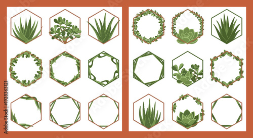 A collection of hexagonal copper frames decorated with green succulent and aloe vera plants, presented in a flat vector style on a solid background.