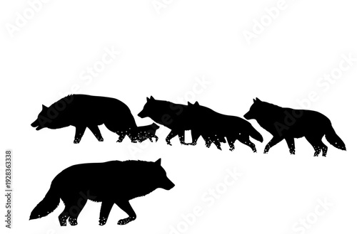 A group of four silhouettes of wolves walking in a snowy forest, animal, forest, illustration, profile, snow, walk, wild, wolf, against transparent background
