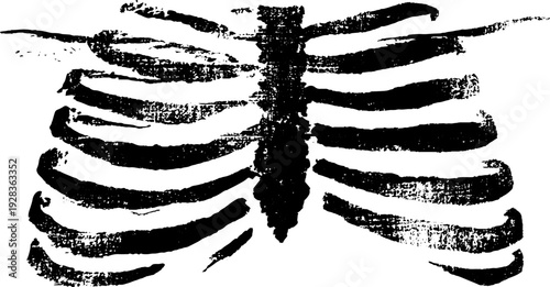 Minimalist high contrast black and white ribcage ink illustration