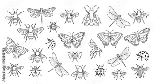 A large set of hand-drawn insect illustrations in a black and white sketch style, featuring bees, dragonflies, butterflies, and ladybugs isolated on a white background.