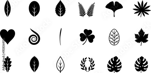 Leaf silhouette vector illustration collection, twenty diverse black icons showing simple, compound, lobed, and stylized botanical forms for design