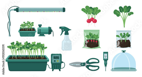 A complete set of modern flat design icons for home gardening and cultivating microgreens, featuring tools and plants isolated on a white background.