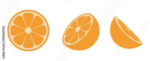 Orange Slices, Citrus Fruit Vector, Round, Half and Slice, Juice Icon, Flat Illustration, Isolated Fruit Design