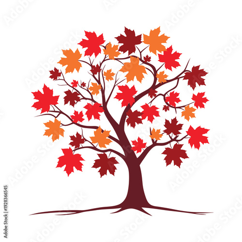 Colorful Autumn Maple Tree Vector Illustration with Roots
